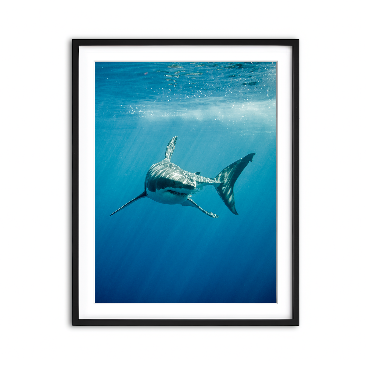 Framed Print 3x4 Black
