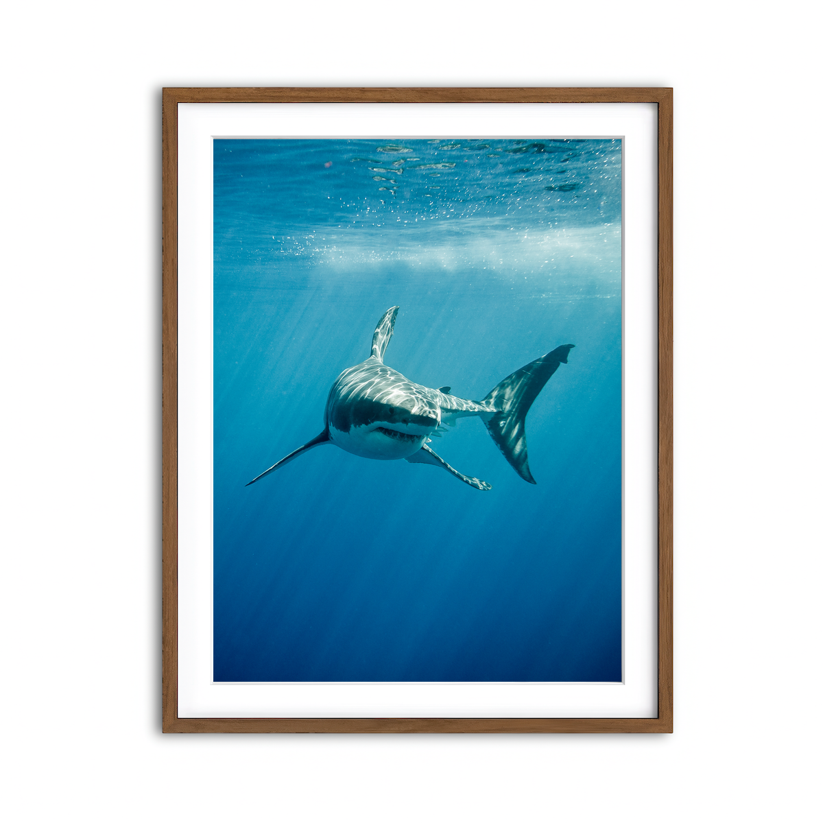 Framed Print 3x4 Walnut