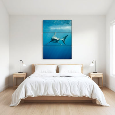 AUTO-MOCKUP ROOM | Great White Shark swimming
