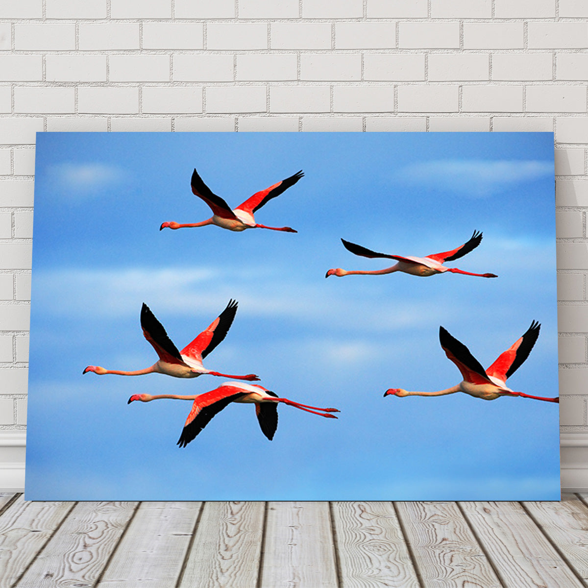 Greater Flamingo's Flying Wall Art