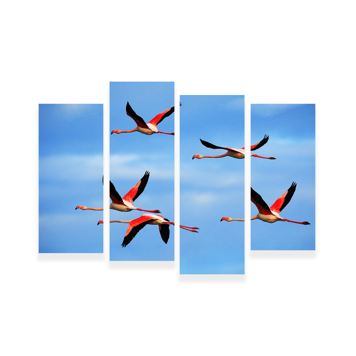 Greater Flamingo's Flying Wall Art
