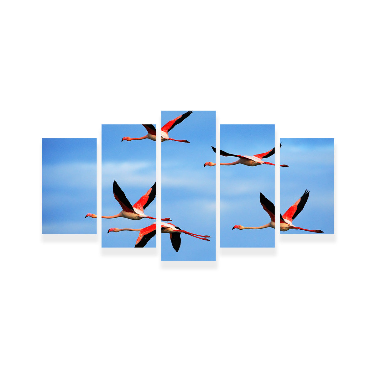 Greater Flamingo's Flying Wall Art