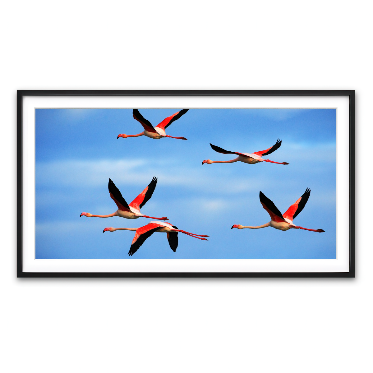Framed Print 2x1 Black