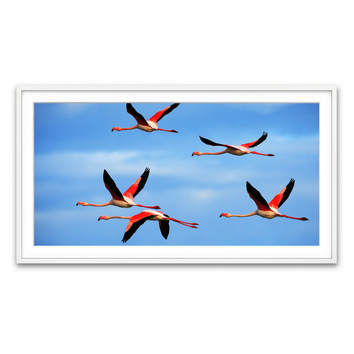 Framed Print 2x1 White
