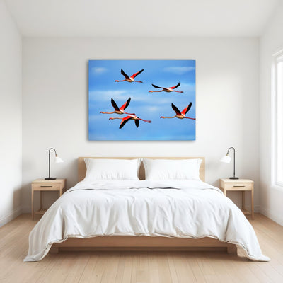 AUTO-MOCKUP ROOM | Greater Flamingo's Flying