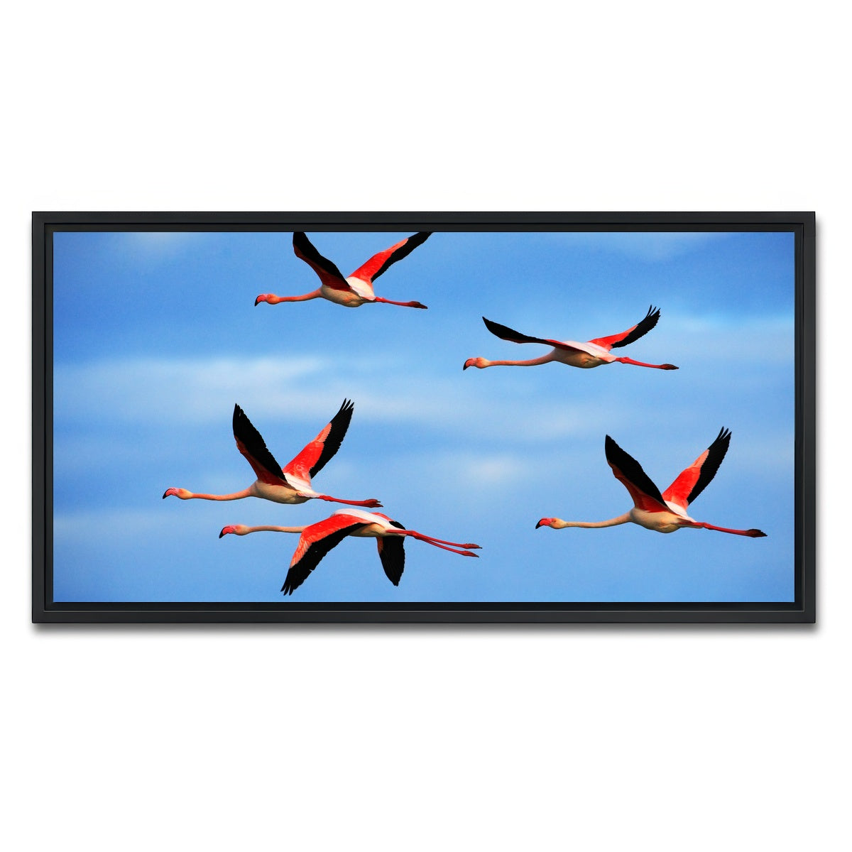 AUTO-MOCKUP WHITE | Greater Flamingo's Flying | 1 Piece | Black Framed Canvas | group=2x1