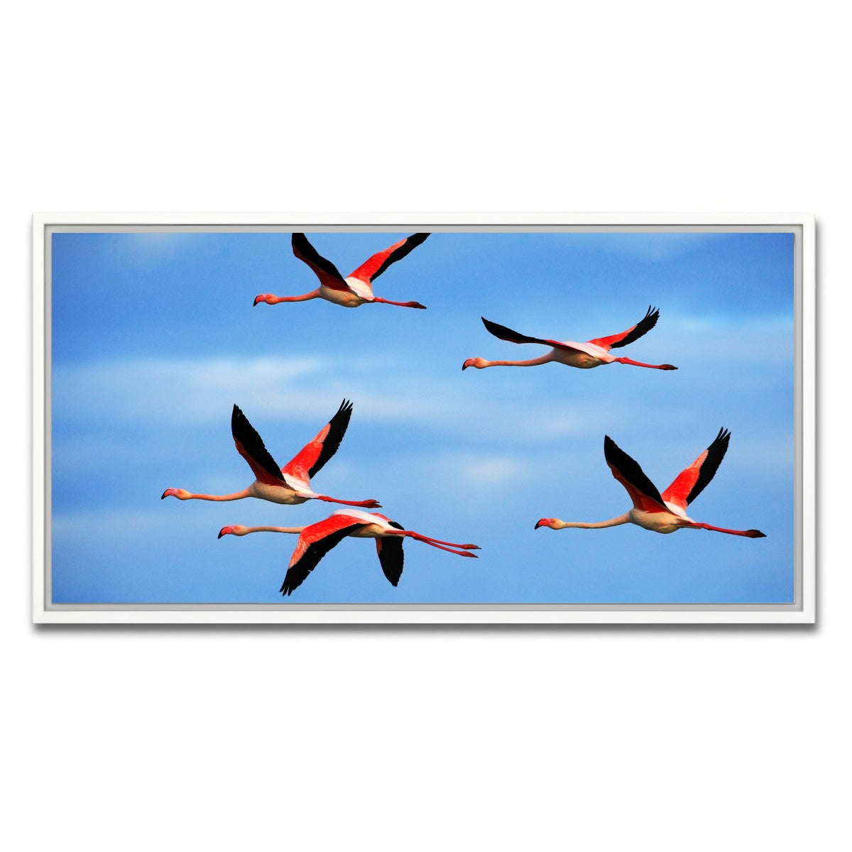 AUTO-MOCKUP WHITE | Greater Flamingo's Flying | 1 Piece | White Framed Canvas | group=2x1
