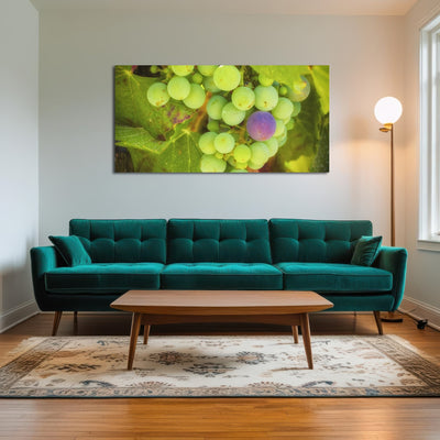 AUTO-MOCKUP ROOM | Green Purple Grapes Temecula Valley