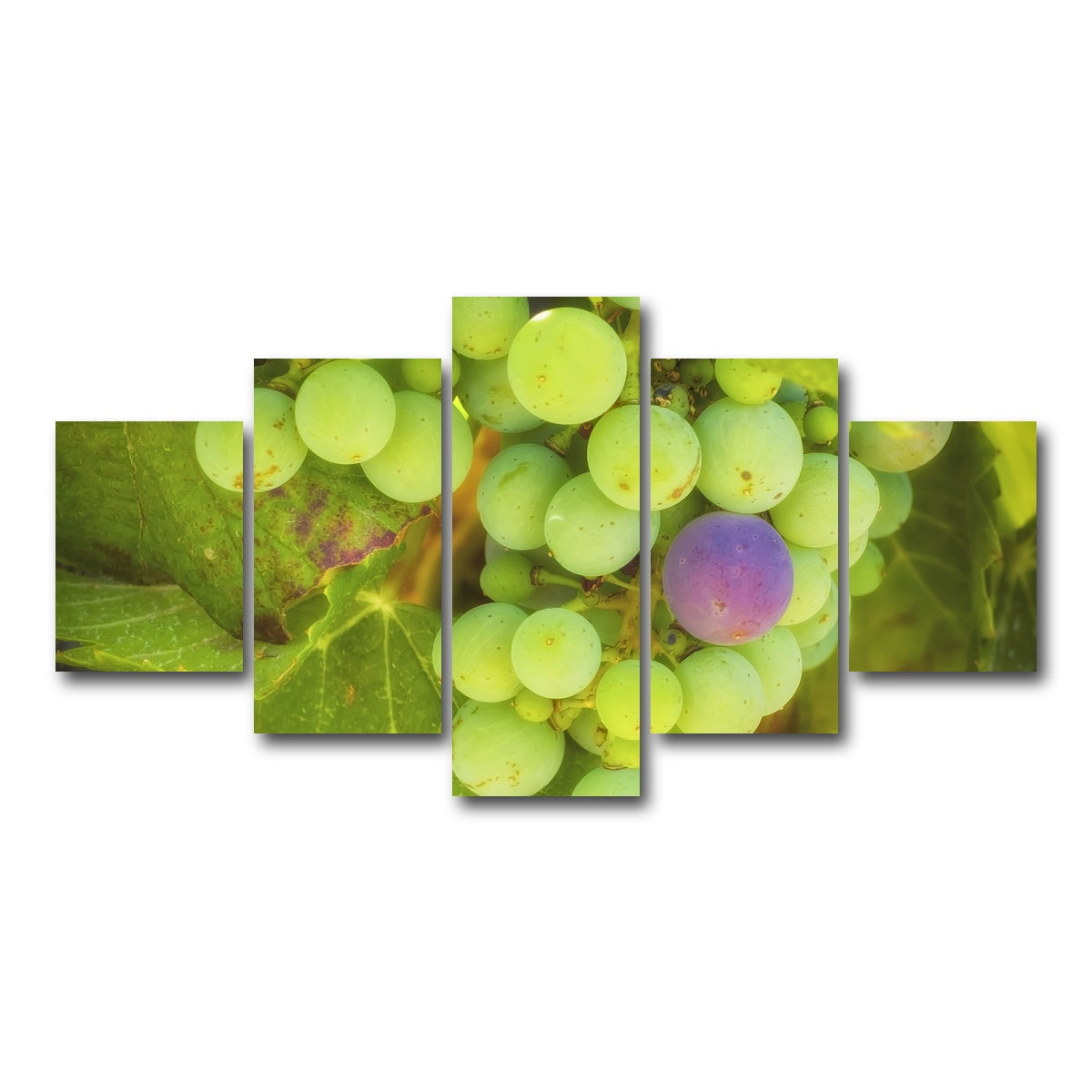 AUTO-MOCKUP WHITE | Green Purple Grapes Temecula Valley | 5 Piece | Gallery Wrap Canvas | group=5_short