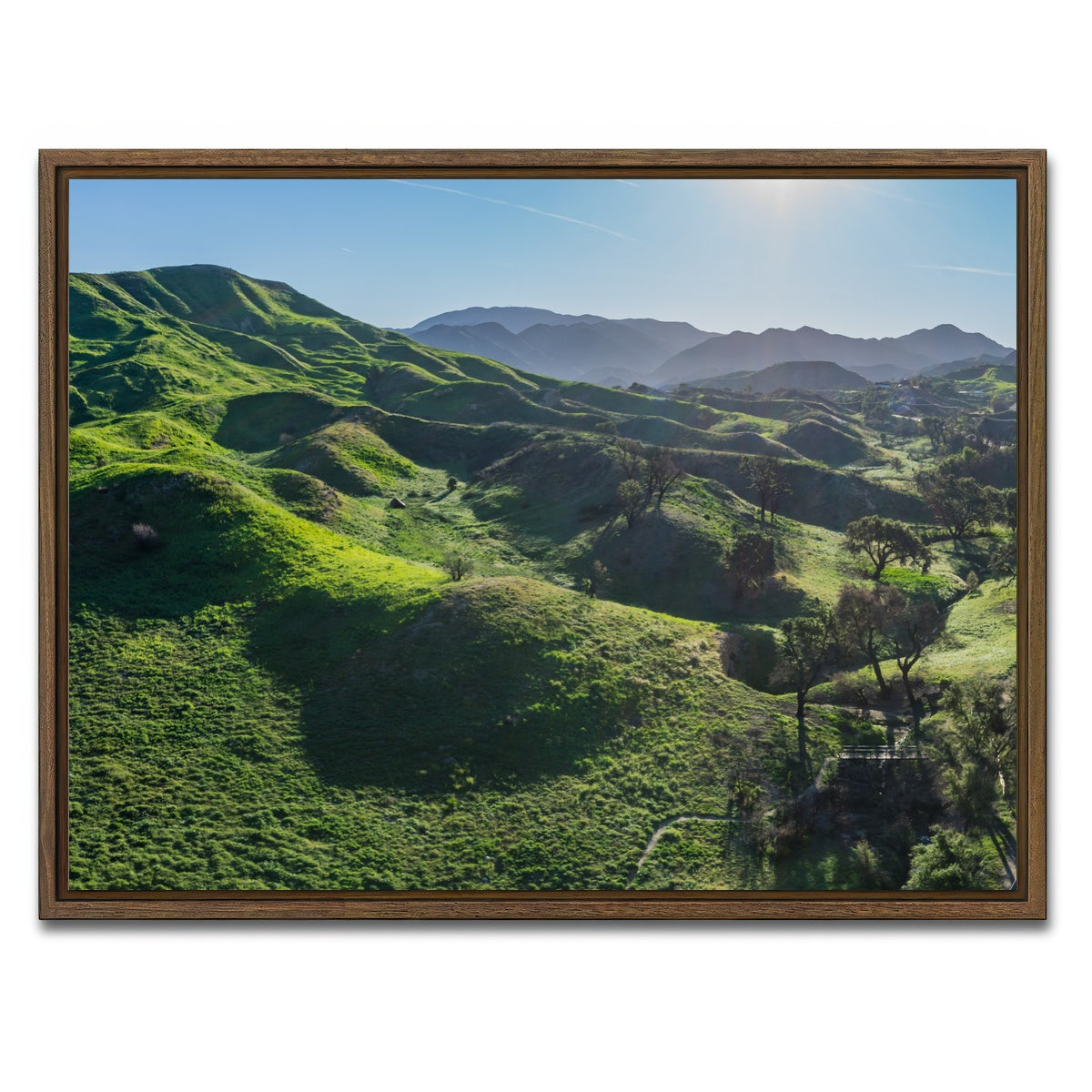 AUTO-MOCKUP WHITE | Green Southern California Hills | 1 Piece | Walnut Framed Canvas | group=4x3