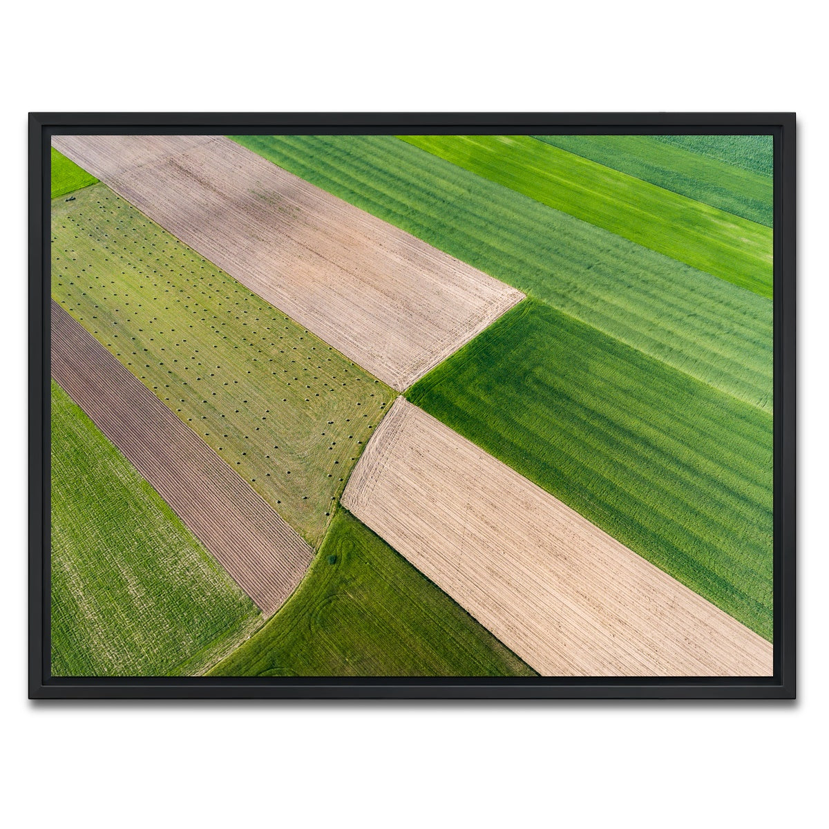 AUTO-MOCKUP WHITE | Greener Pastures | 1 Piece | Black Framed Canvas | group=4x3
