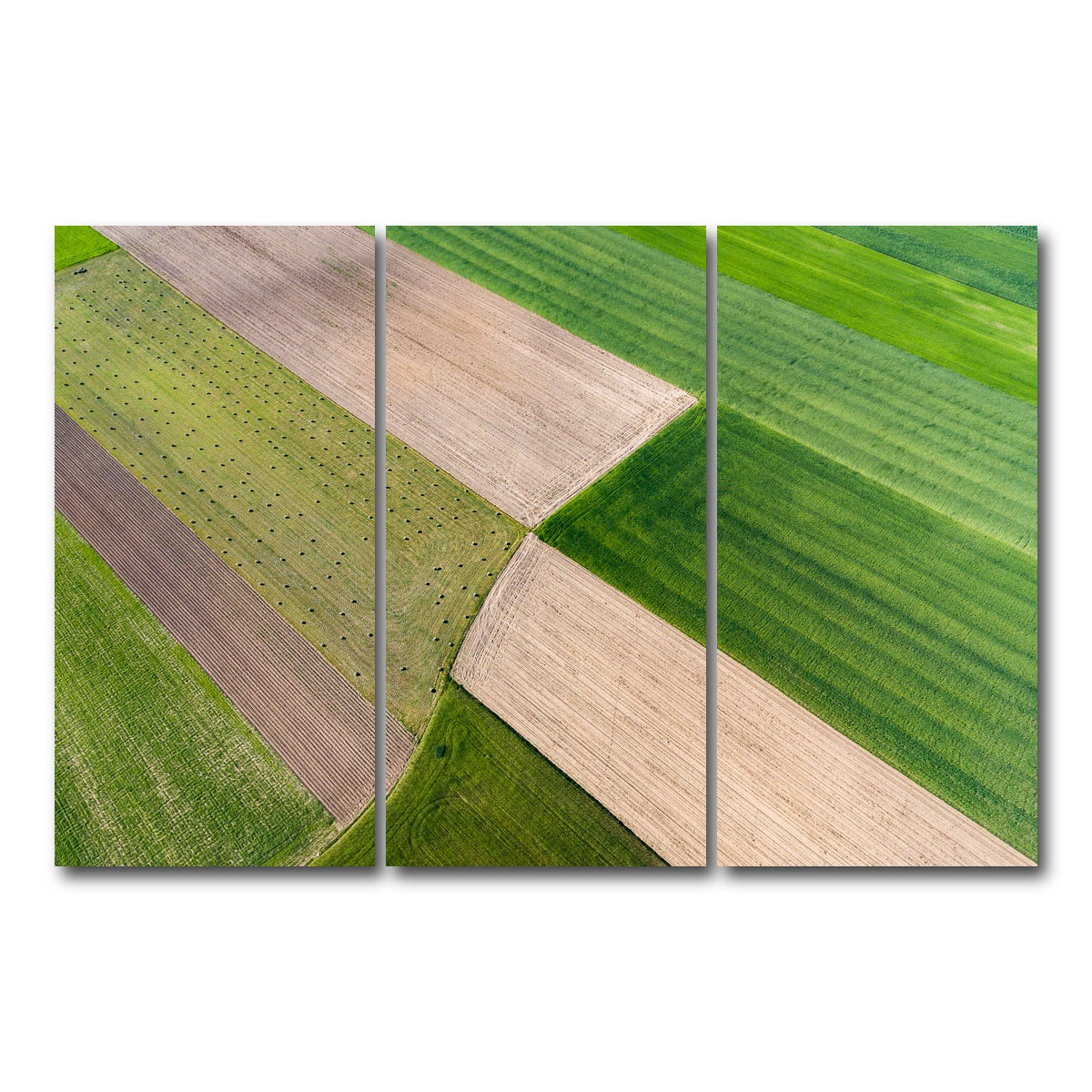 AUTO-MOCKUP WHITE | Greener Pastures | 3 Piece | Gallery Wrap Canvas | group=12x24