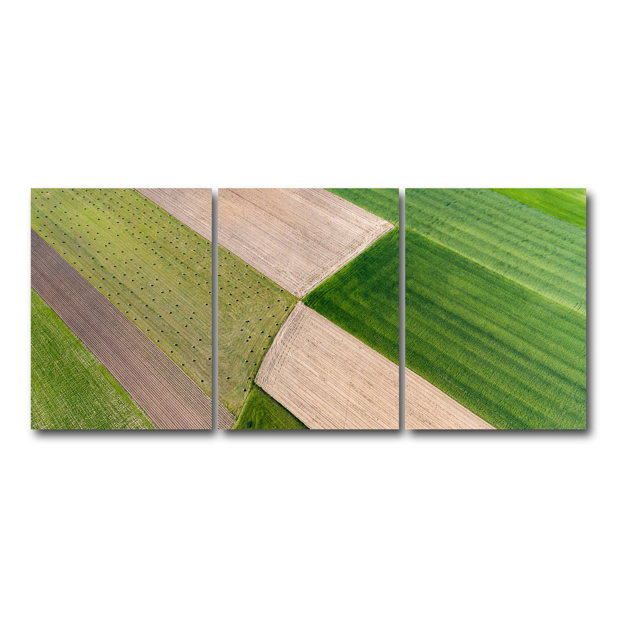 AUTO-MOCKUP WHITE | Greener Pastures | 3 Piece | Gallery Wrap Canvas | group=18x24