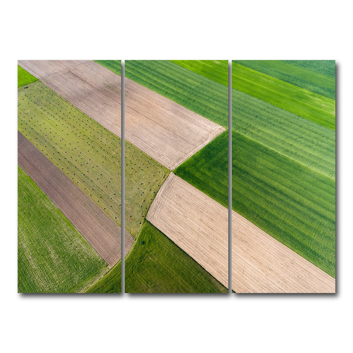 AUTO-MOCKUP WHITE | Greener Pastures | 3 Piece | Gallery Wrap Canvas | group=8x18