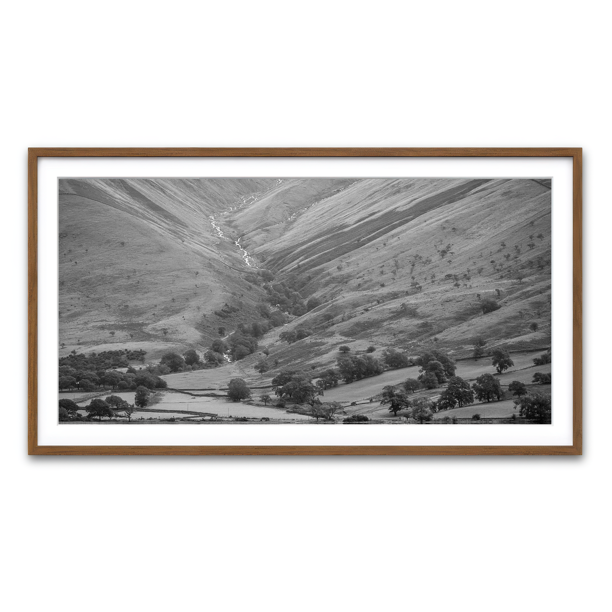 Framed Print 2x1 Walnut
