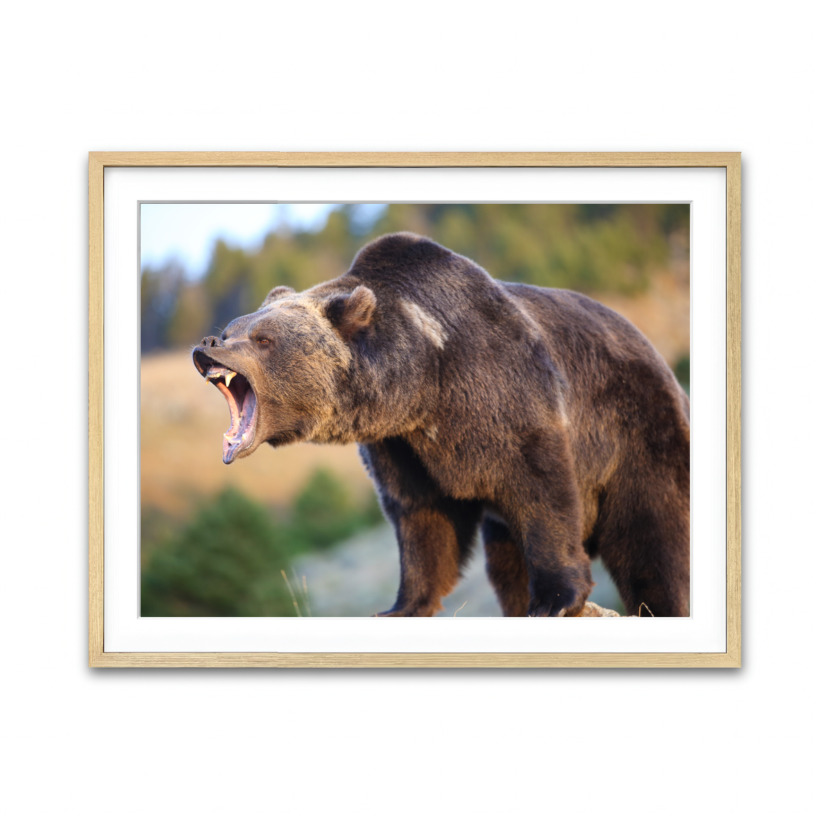 Framed Print 4x3 Natural