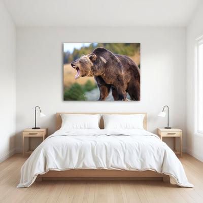 AUTO-MOCKUP ROOM | Grizzly Bear Growling
