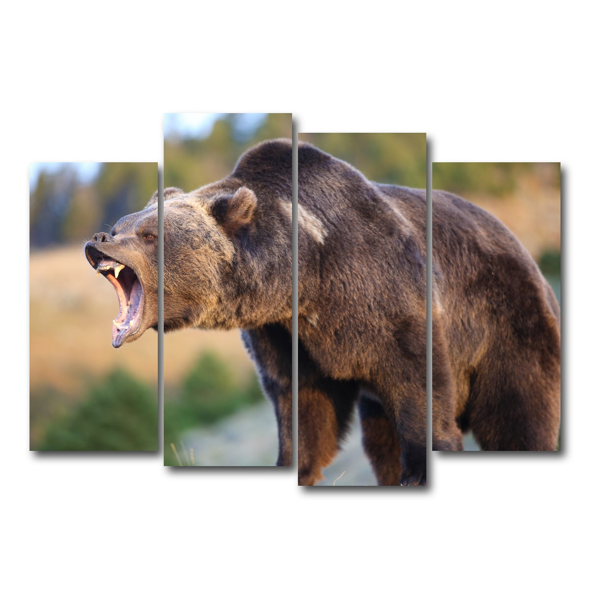 Grizzly Bear Growling Wall Art