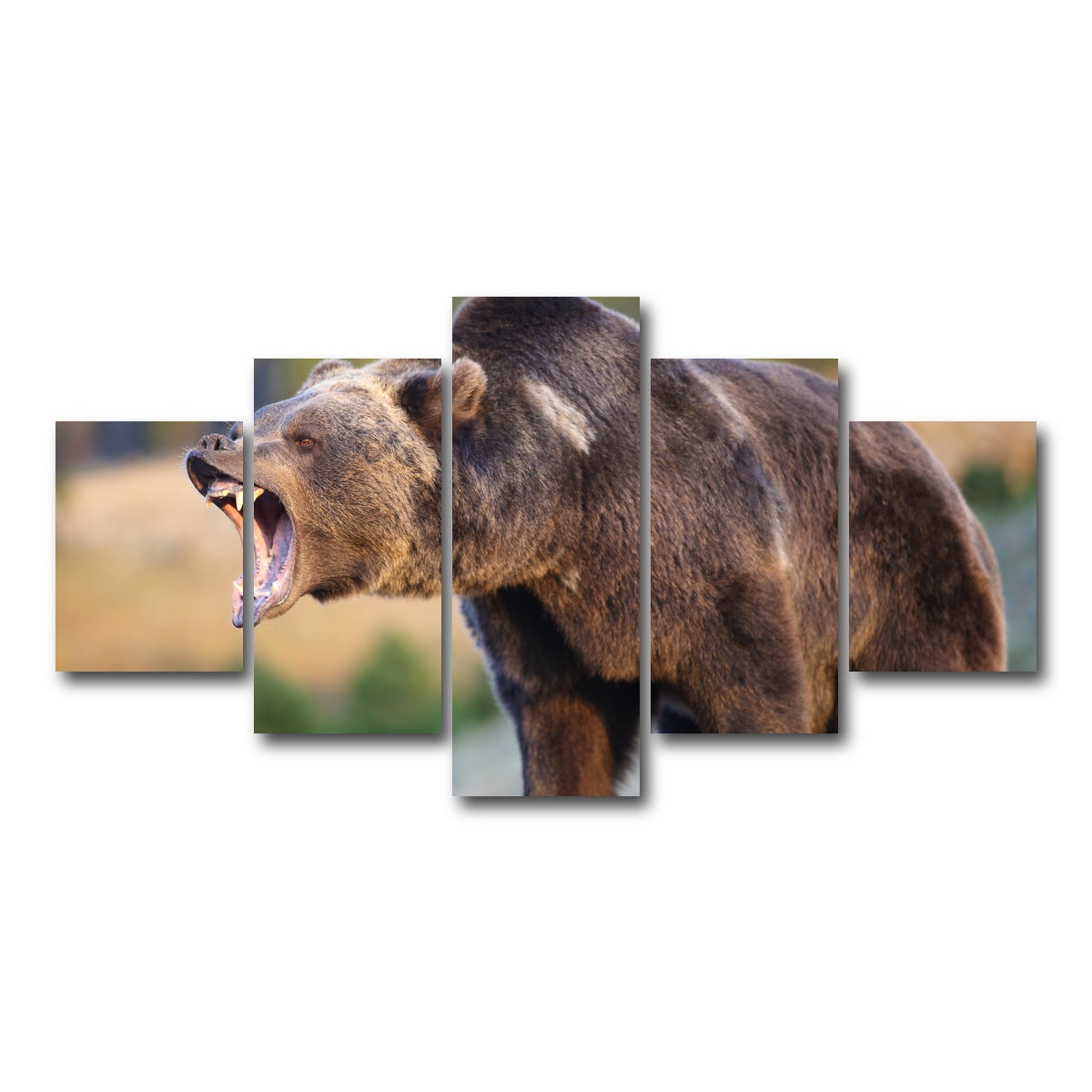 AUTO-MOCKUP WHITE | Grizzly Bear Growling | 5 Piece | Gallery Wrap Canvas | group=5_short