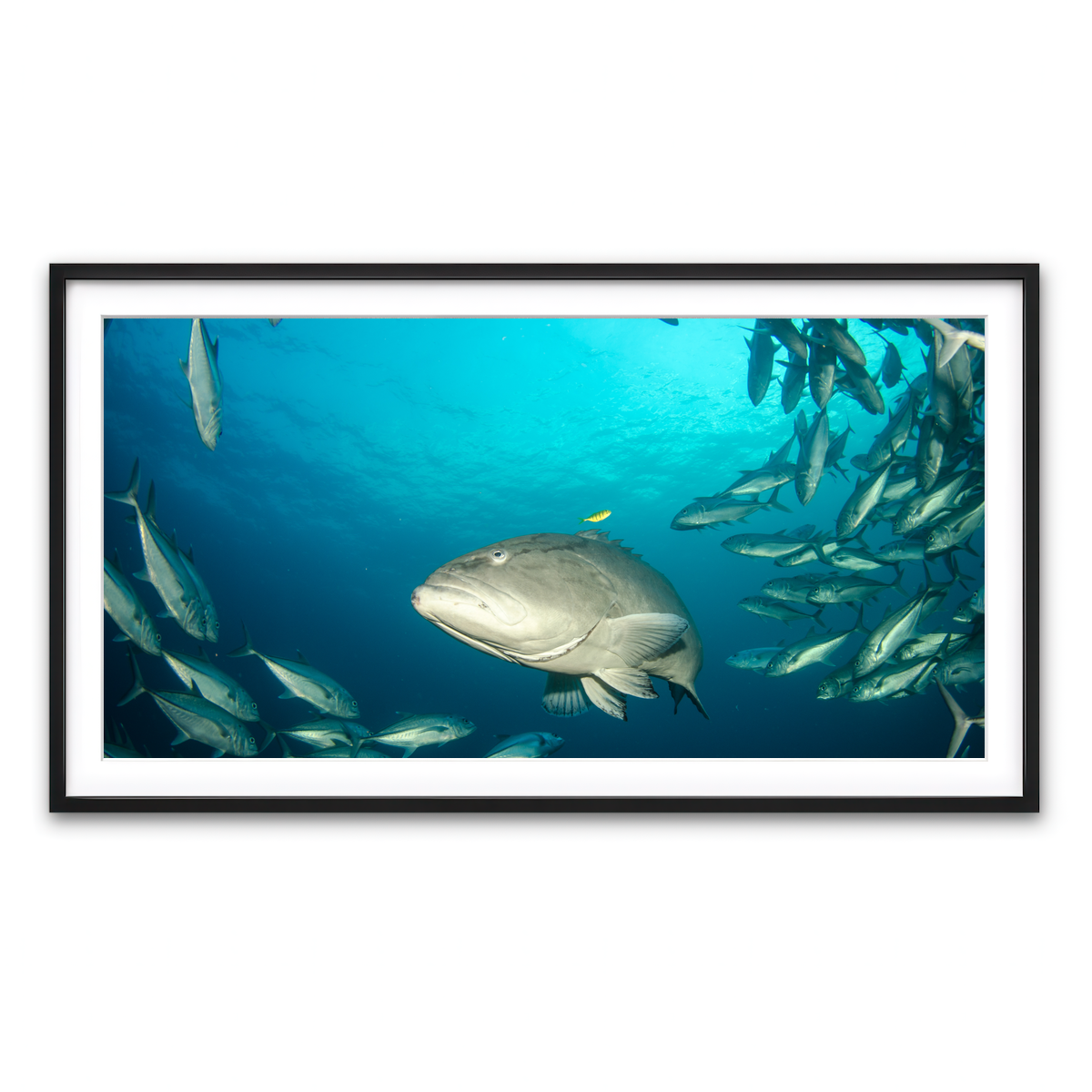 Framed Print 2x1 Black