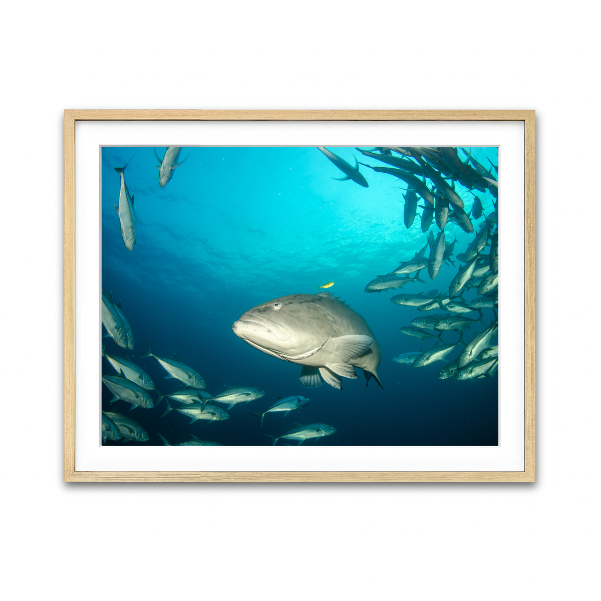 Framed Print 4x3 Natural