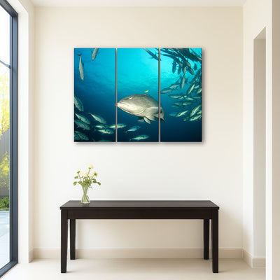 AUTO-MOCKUP ROOM | Grouper - Sea of Cortez