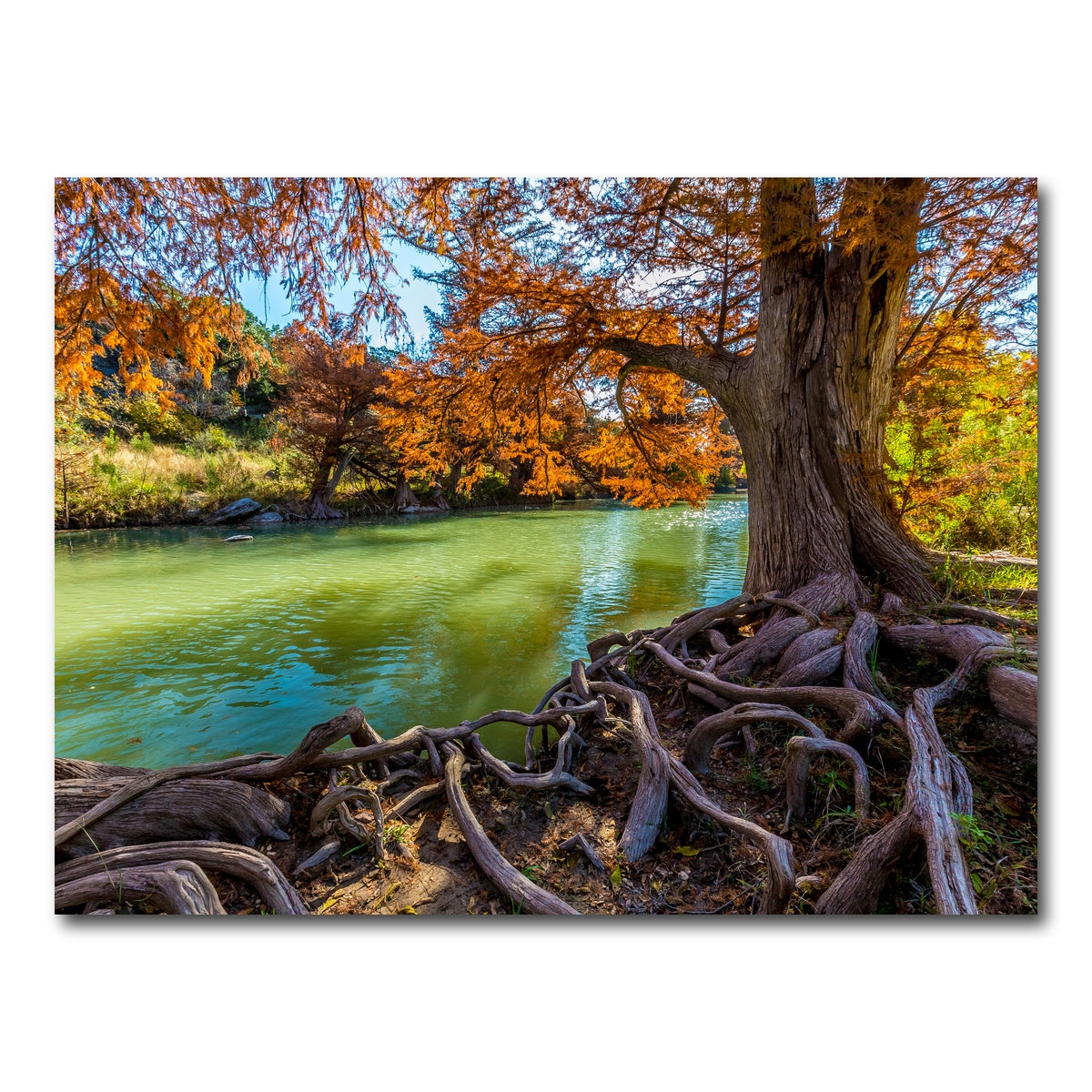 AUTO-MOCKUP WHITE | Guadalupe State Park | 1 Piece | Gallery Wrap Canvas | group=4x3