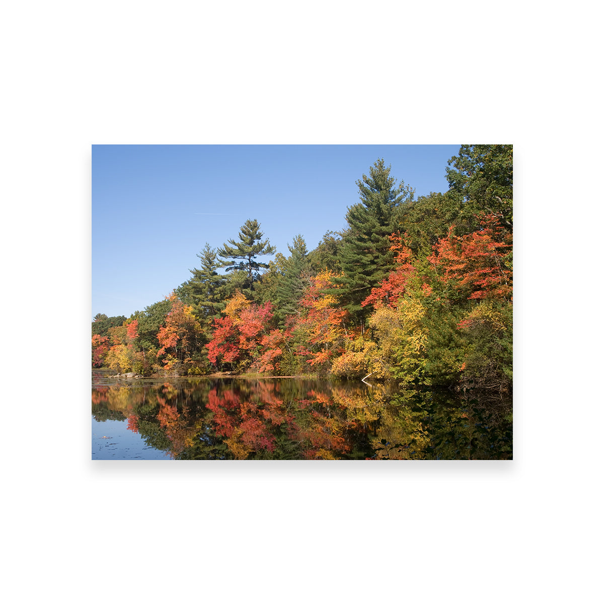 Harold Parker State Park Wall Art