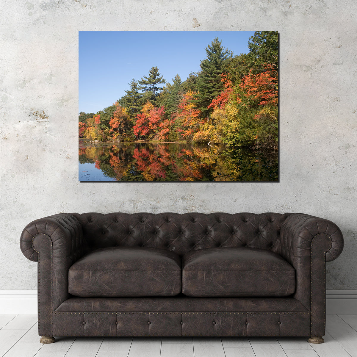 Harold Parker State Park Wall Art