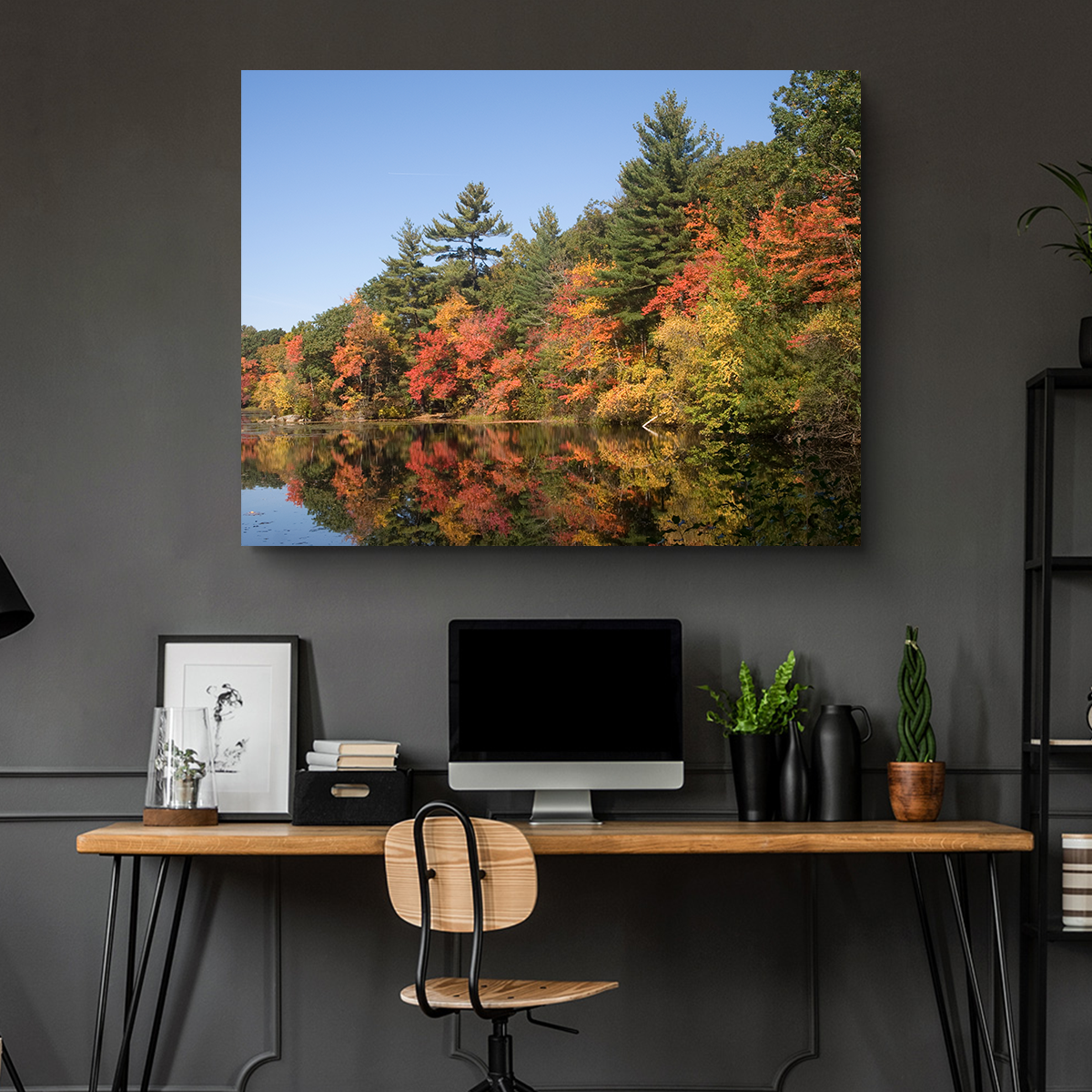Harold Parker State Park Wall Art