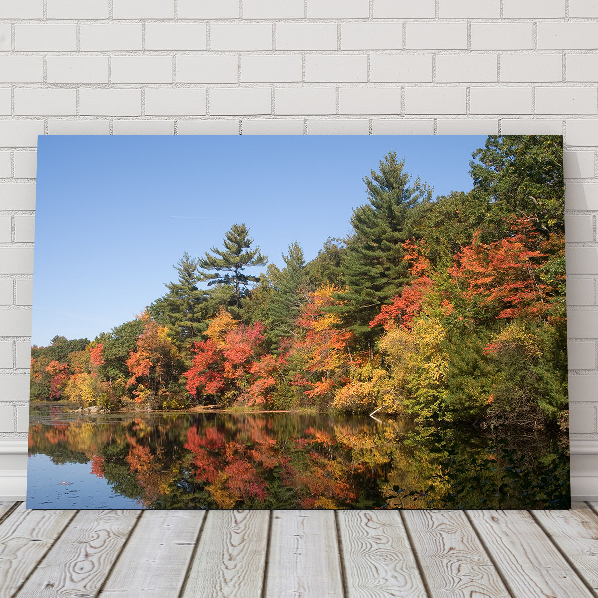 Harold Parker State Park Wall Art