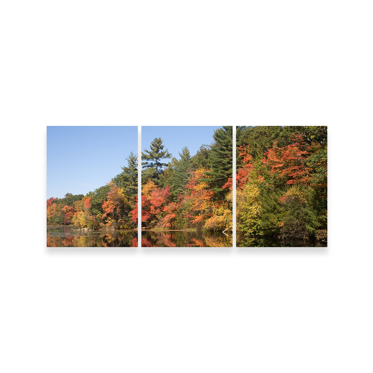 Harold Parker State Park Wall Art