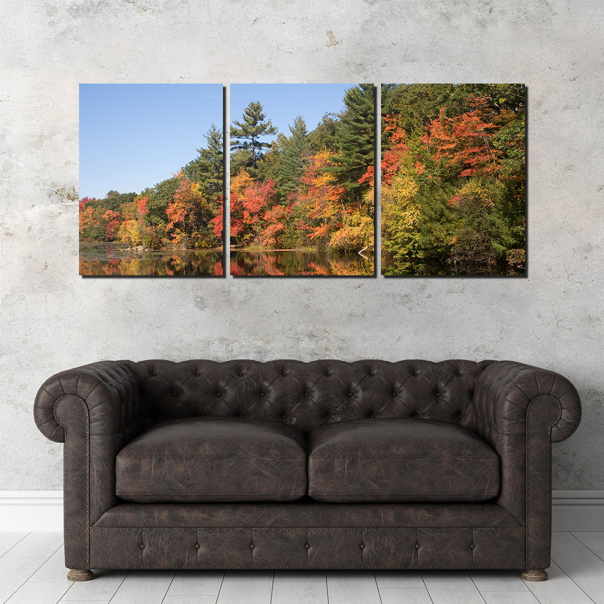 Harold Parker State Park Wall Art