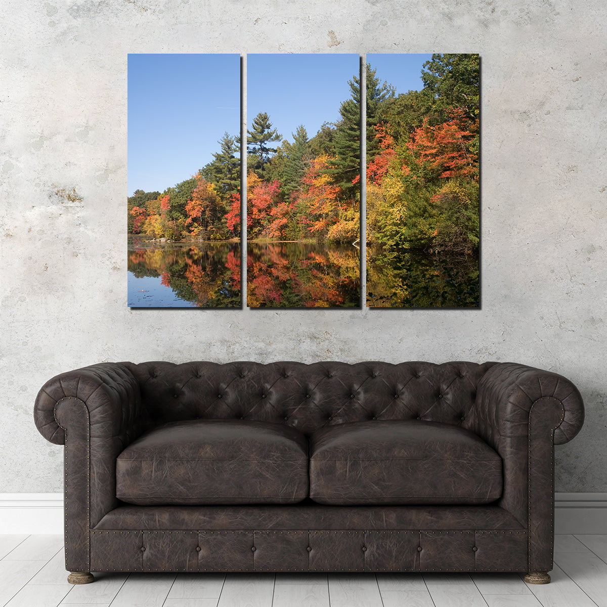 Harold Parker State Park Wall Art