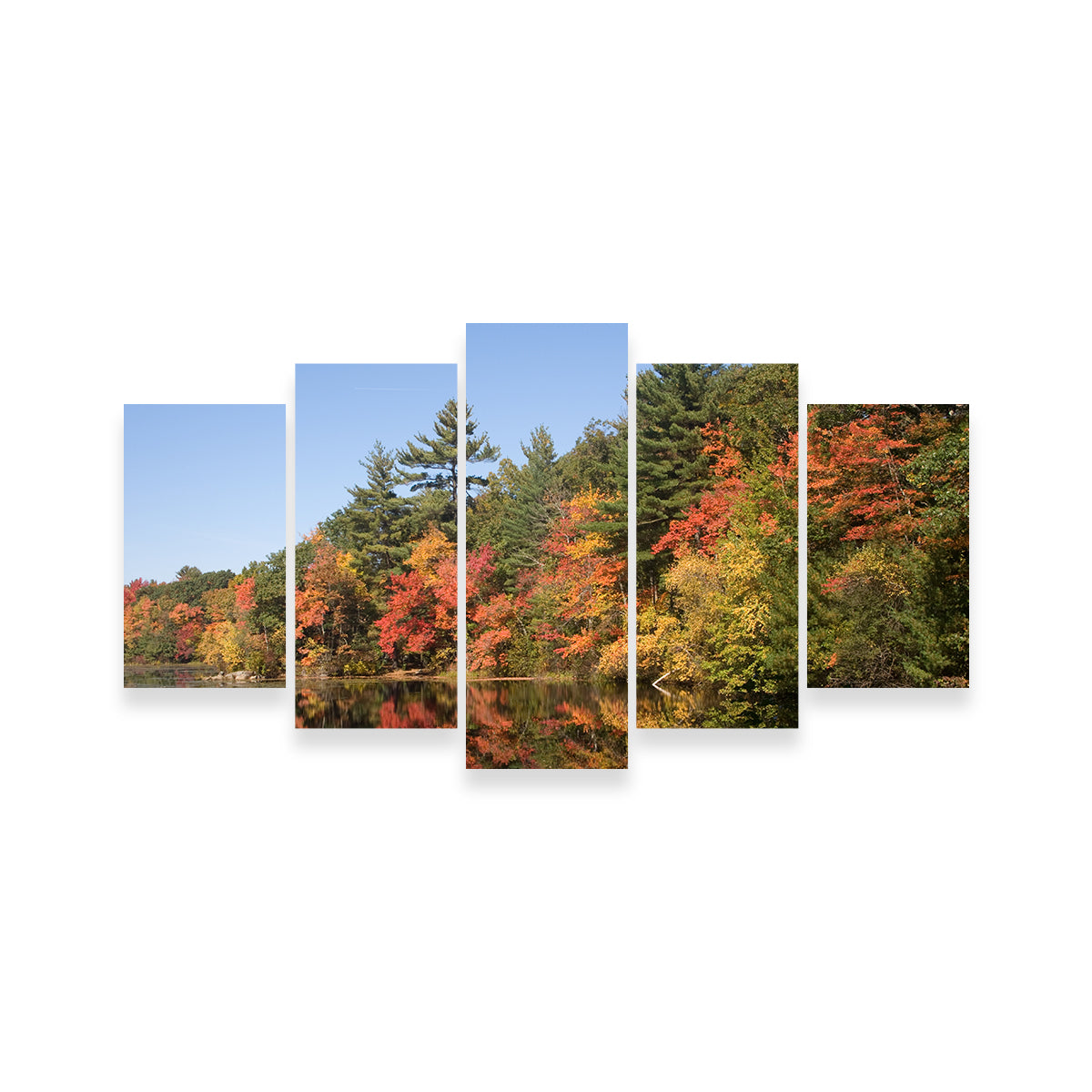 Harold Parker State Park Wall Art