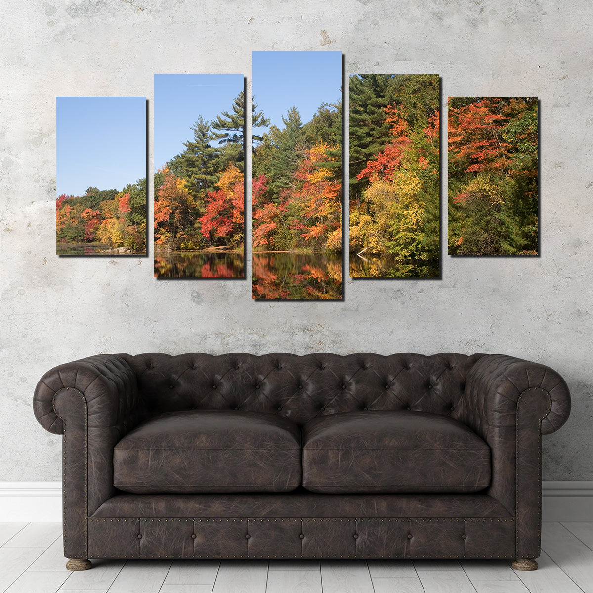 Harold Parker State Park Wall Art