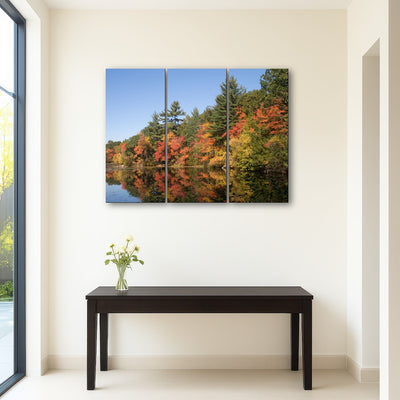 AUTO-MOCKUP ROOM | Harold Parker State Park