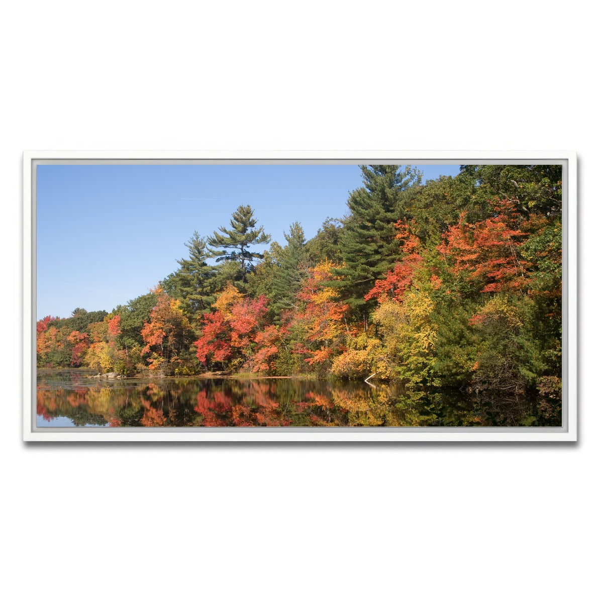 AUTO-MOCKUP WHITE | Harold Parker State Park | 1 Piece | White Framed Canvas | group=2x1