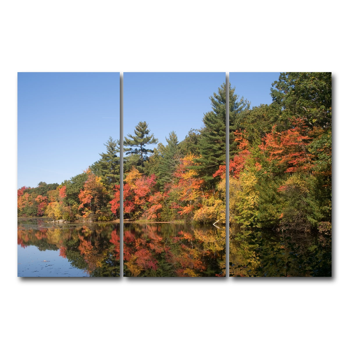 AUTO-MOCKUP WHITE | Harold Parker State Park | 3 Piece | Gallery Wrap Canvas | group=12x24
