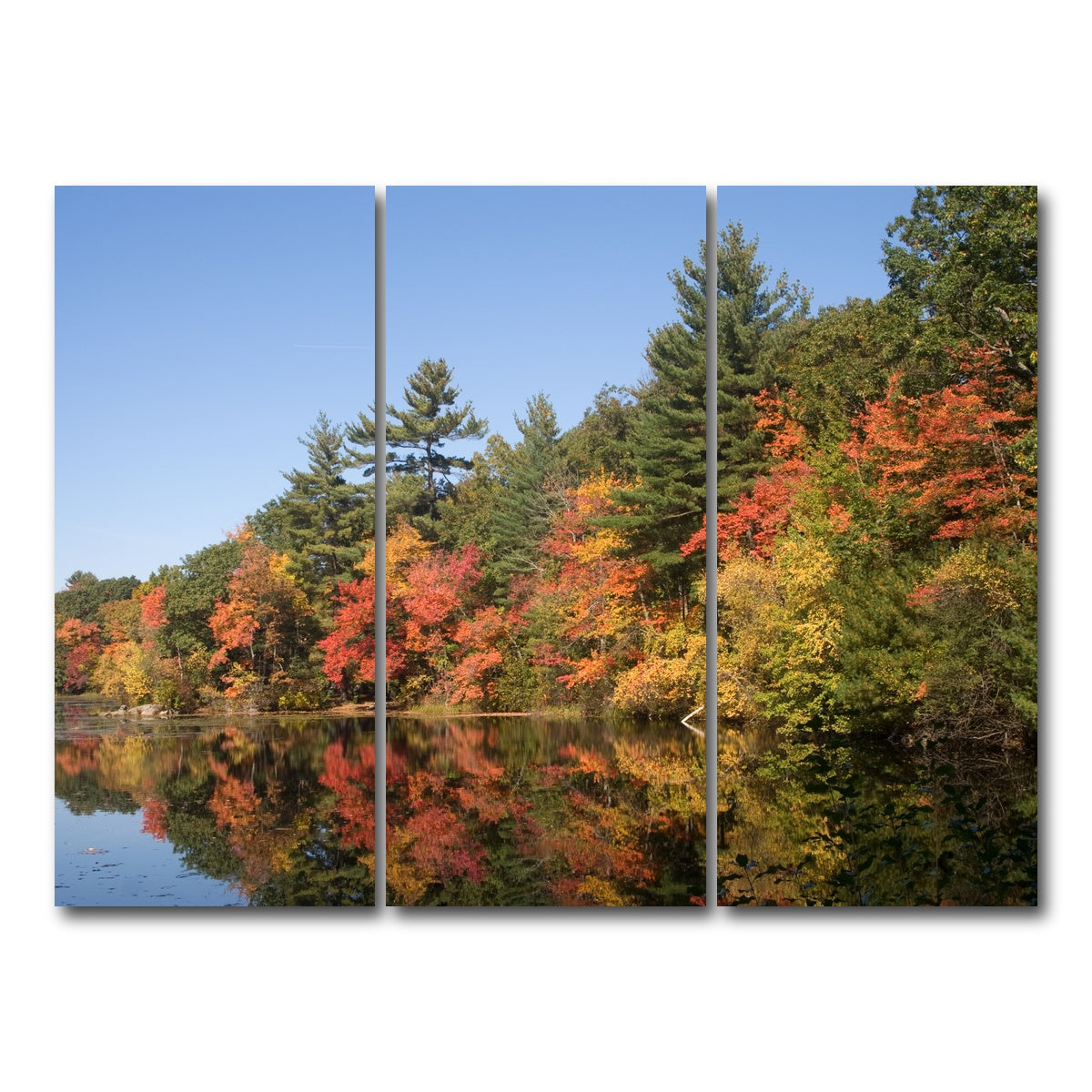 AUTO-MOCKUP WHITE | Harold Parker State Park | 3 Piece | Gallery Wrap Canvas | group=8x18