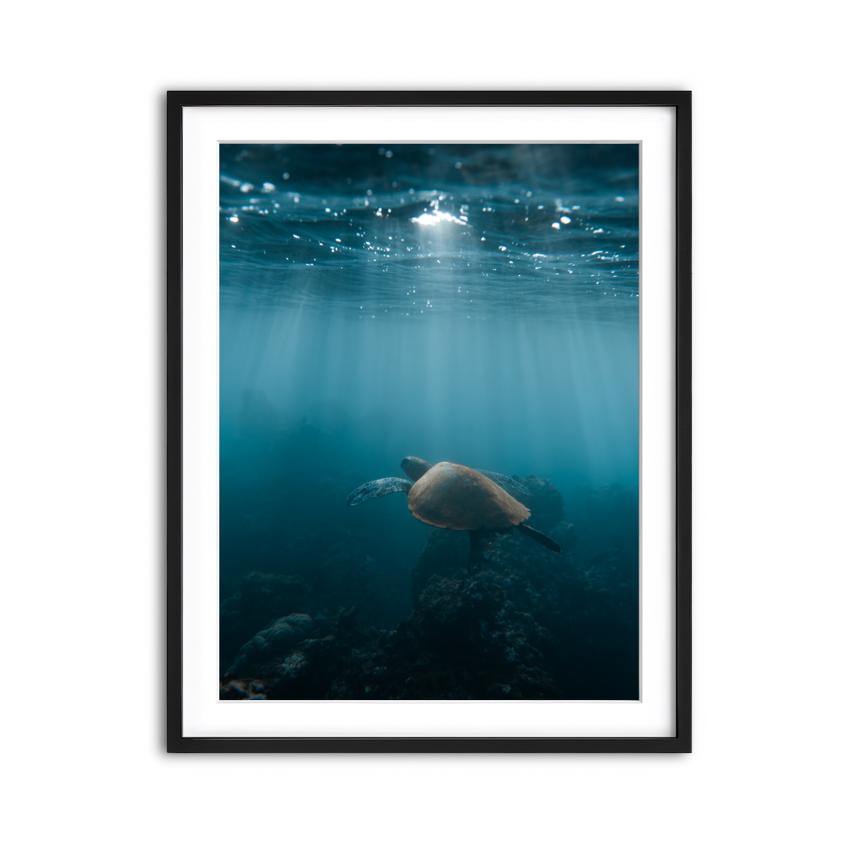 Framed Print 3x4 Black