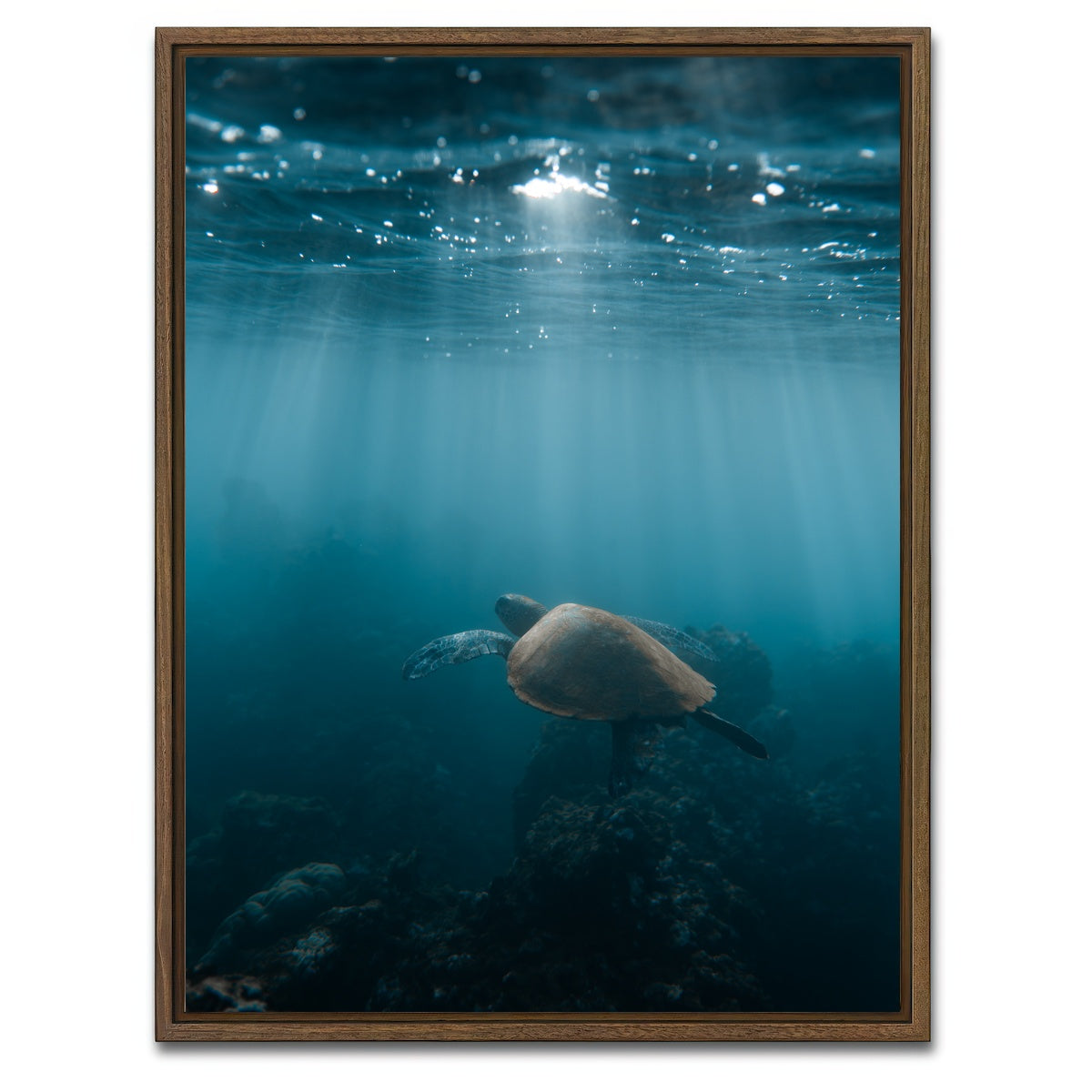 AUTO-MOCKUP WHITE | Hawaii Turtle | 1 Piece | Walnut Framed Canvas | group=3x4