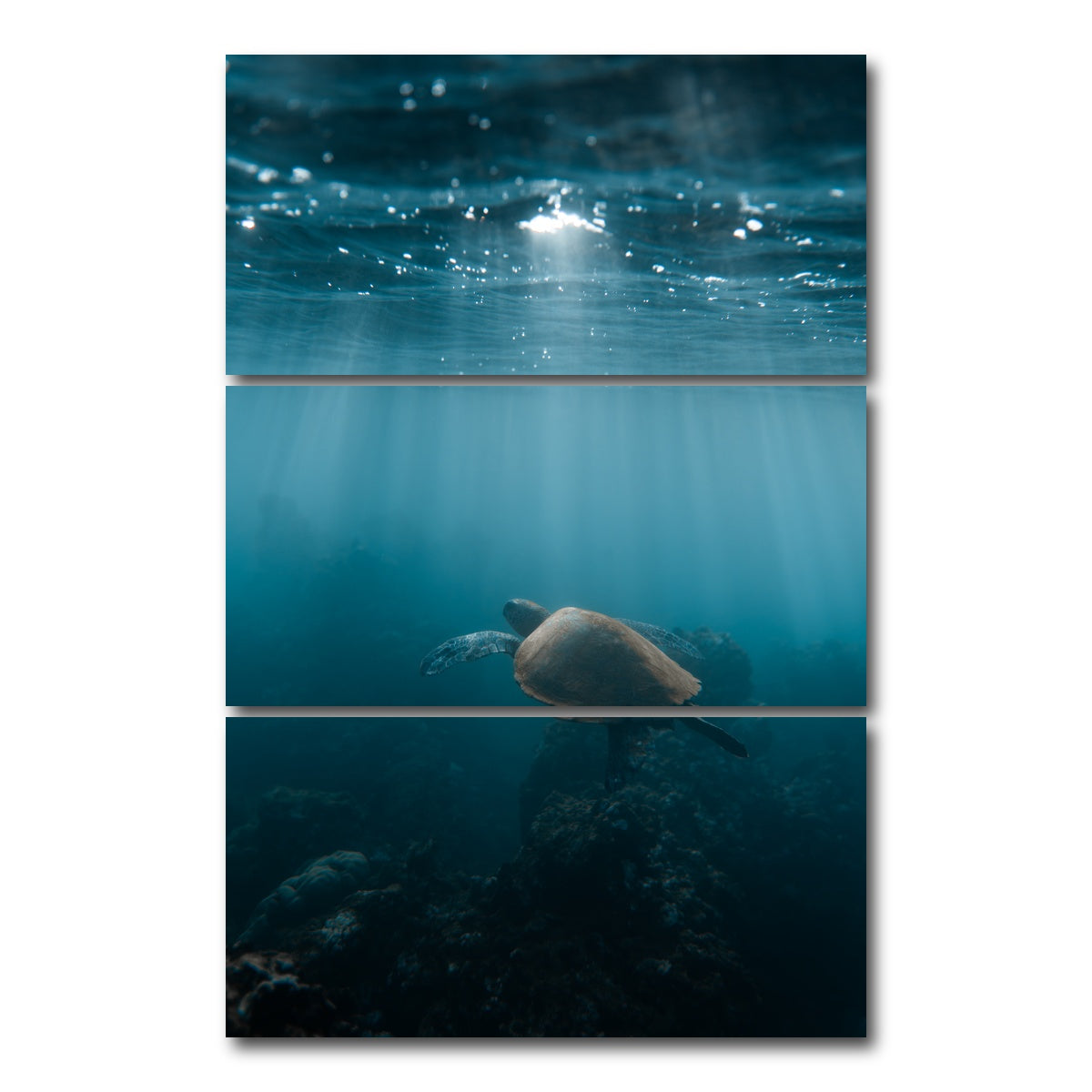 AUTO-MOCKUP WHITE | Hawaii Turtle | 3 Piece | Gallery Wrap Canvas | group=12x24_stacked