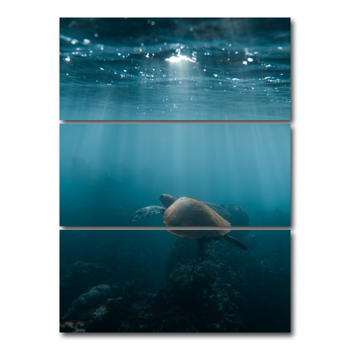 AUTO-MOCKUP WHITE | Hawaii Turtle | 3 Piece | Gallery Wrap Canvas | group=8x18_stacked