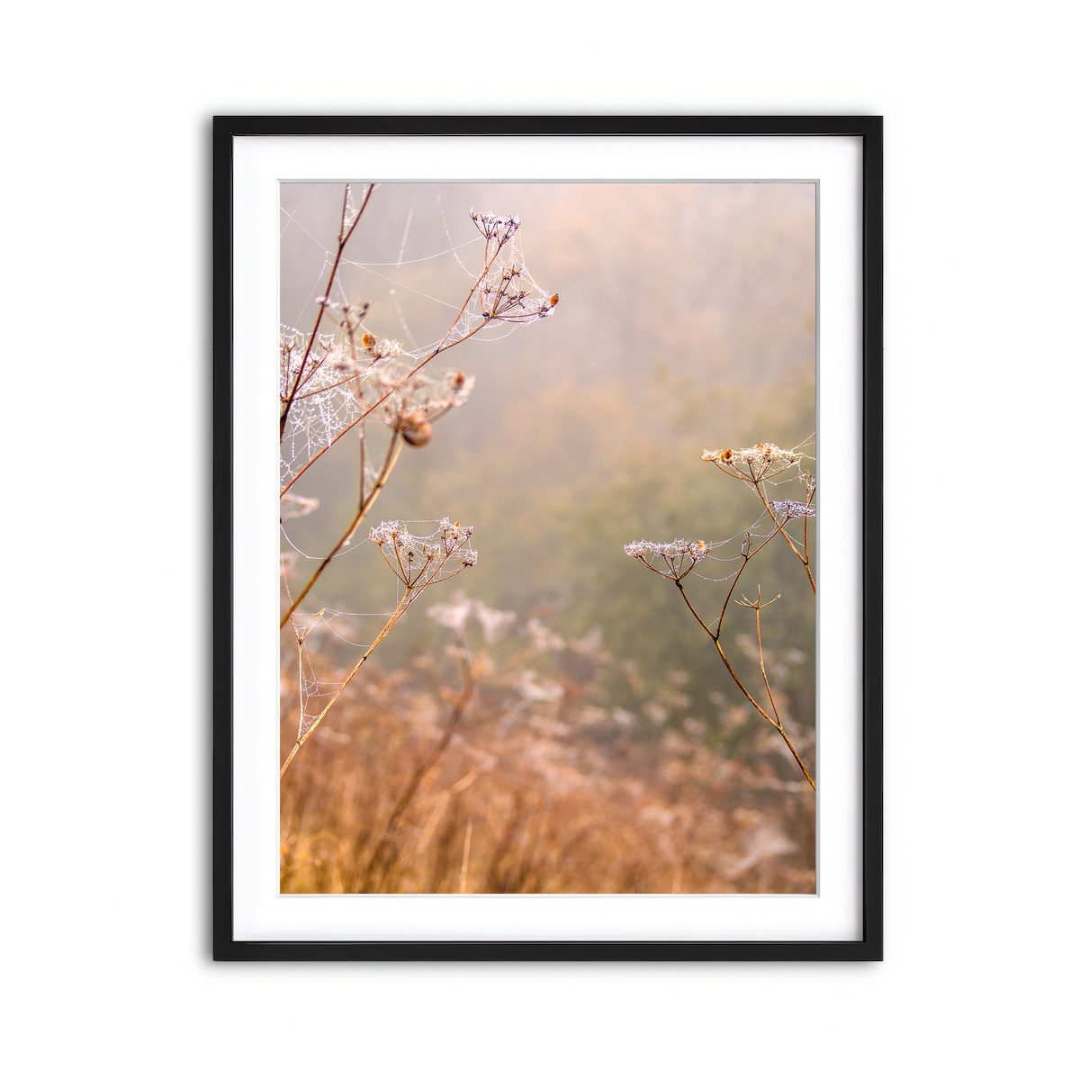 Framed Print 3x4 Black