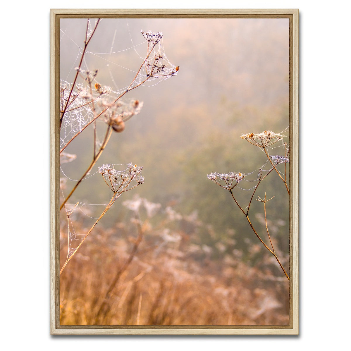 AUTO-MOCKUP WHITE | Headley Heath Dew | 1 Piece | Natural Framed Canvas | group=3x4