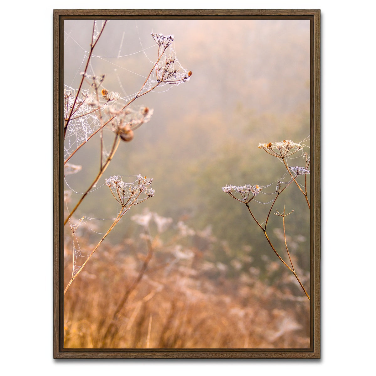 AUTO-MOCKUP WHITE | Headley Heath Dew | 1 Piece | Walnut Framed Canvas | group=3x4