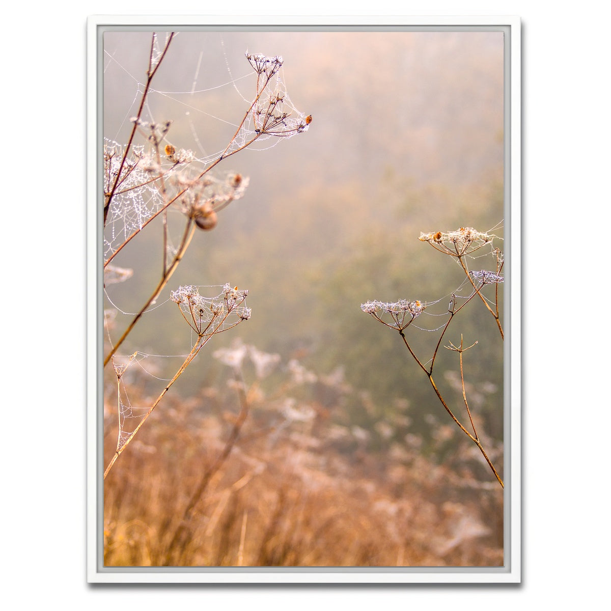 AUTO-MOCKUP WHITE | Headley Heath Dew | 1 Piece | White Framed Canvas | group=3x4