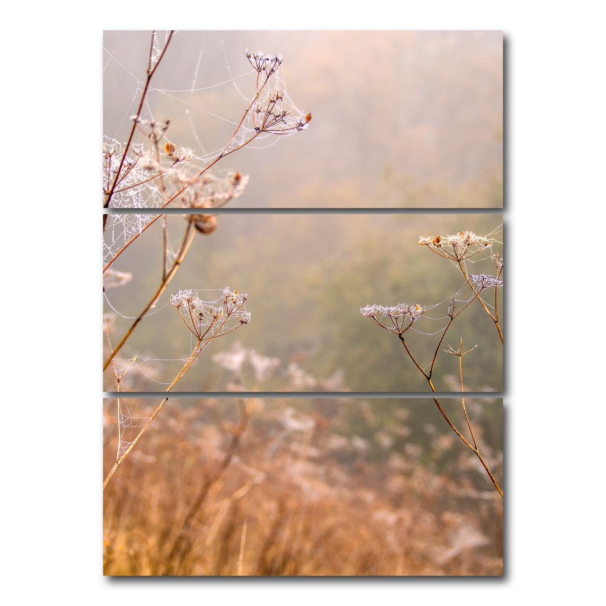 AUTO-MOCKUP WHITE | Headley Heath Dew | 3 Piece | Gallery Wrap Canvas | group=8x18_stacked