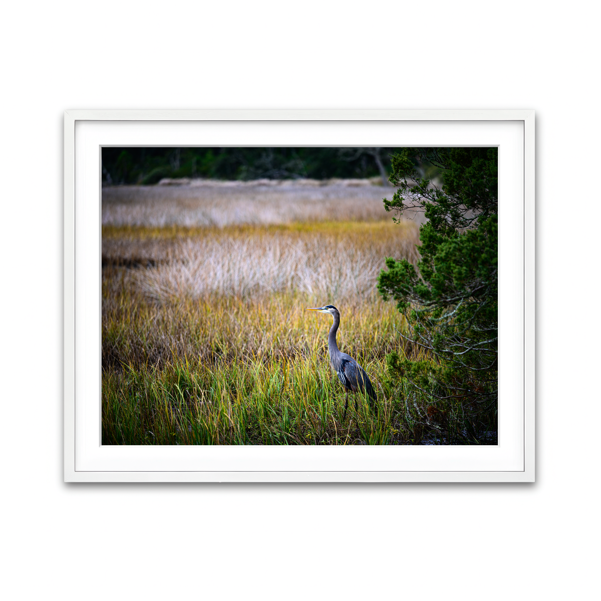 Framed Print 4x3 White